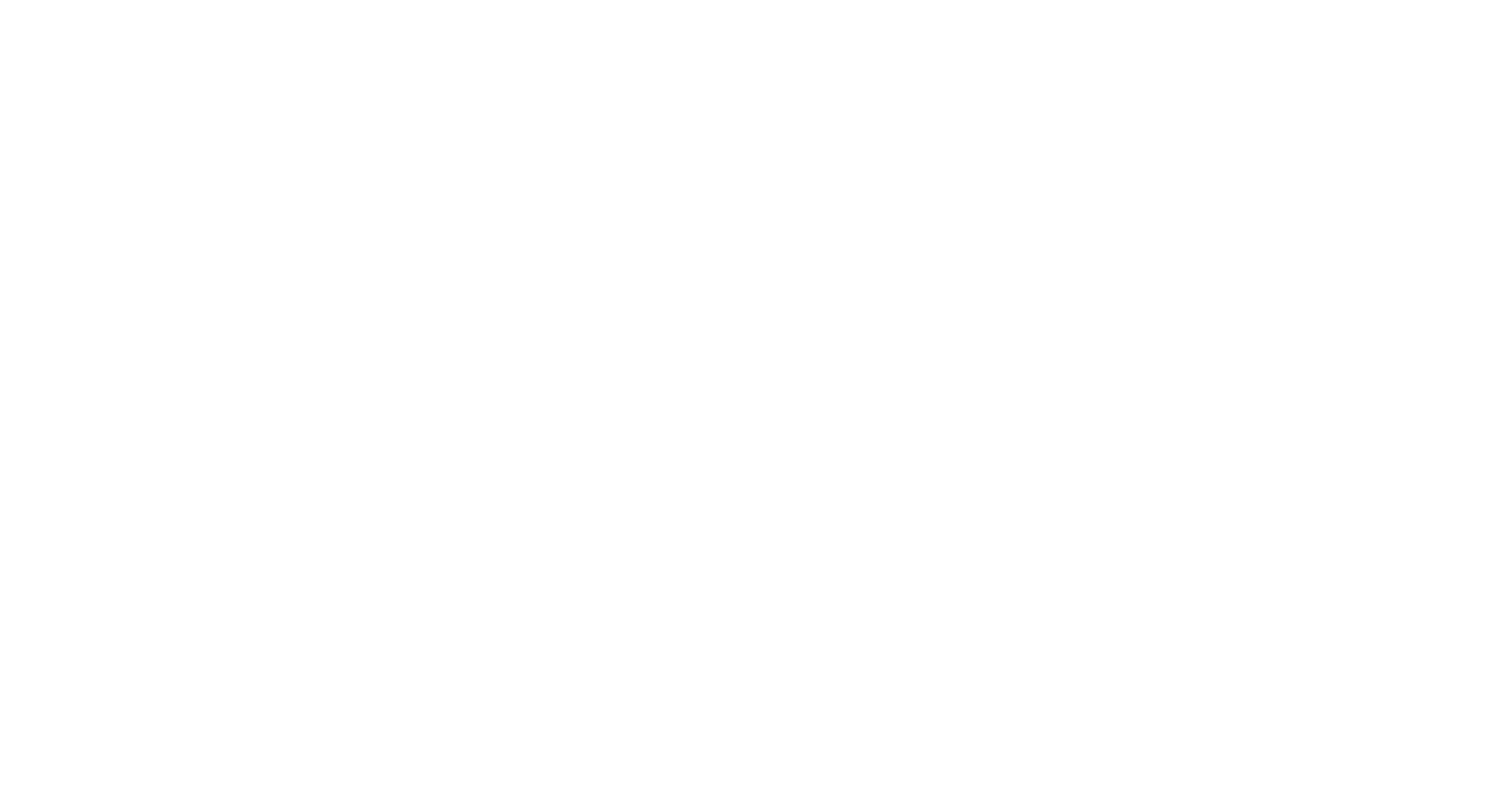 Zoom Bus